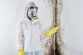 Best Water Damage & Mold Remediation  in Pamplico, SC